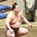 伊勢ケ浜部屋の嵐富士が名古屋場所で新十両昇進　夏場所は東幕下２枚目５勝２敗