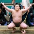 新十両に嵐富士　同部屋の伯乃富士の１学年後輩
