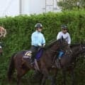 【日本ダービー】昨年のダービー馬クロワデュノールと豪華併せ馬！　最後まで食い下がったバステールに斉藤崇調教師「しっかり動けていた」