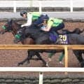 【日本ダービー】皐月賞馬ロブチェンは２冠へＣＷコースで鋭伸　杉山晴調教師「いい意味で変わりなくですね」
