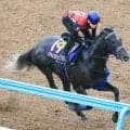 【日本ダービー】津村明秀騎手「もうやることはないくらいできた」　リアライズシリウスはＷコースを単走でラスト１１秒３