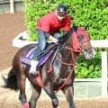 【日本ダービー】松本会長にささげる勝利を！「忠犬ハチ公みたいに…」と牧浦調教師は気合　メイショウハチコウが坂路でパワフルな動き　