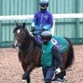 【安田記念・１週前】パンジャタワーとセイウンハーデスが併せ馬　松山弘平騎手、幸英明騎手ともに好感触