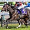 【日本ダービー】追分ファームが初制覇なるか 皐月賞3着のライヒスアドラーが挑む