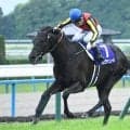 【宝塚記念想定】クロワデュノール、メイショウタバルなど18頭
