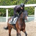 ２４年のサマーマイル王トゥードジボンが復帰かなわず競走馬登録抹消　ＪＲＡ発表