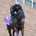 【注目馬動向】黒船賞２着のダノンフィーゴ　引き続き川田将雅騎手で東海Ｓへ