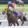 抽選突破で出走したオークスで１８着のスタニングレディは骨折が判明　ラフィアンターフマンクラブが発表