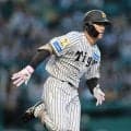 【阪神】福島圭音、小幡竜平ら若手野手４人がファーム・リーグ参加　実戦確保のため