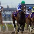 【浦和・プラチナC結果】イグザルトがゴール前で差し切り重賞2勝目を挙げる