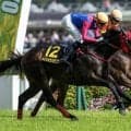 【日本ダービー】プリンシパルS組の史上初戴冠なるか メイショウハチコウがM.ディー騎手で参戦だ