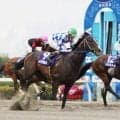 イグザルトがプラチナＣ優勝　重賞２勝目　ゴール前で差し切る