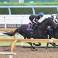 【宝塚記念・２週前】春古馬３冠クロワデュノールが上々の動き　斉藤崇調教師「また競馬のスイッチが入ってきた」