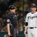 【阪神】藤川監督が守備妨害主張？　坂本誠志郎の送球時、打者に接触　判定覆らず２点リード許す