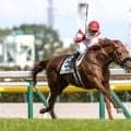 【日本ダービー過去10年傾向】1番人気の信頼度は？ 中穴馬も存在感示す一戦