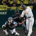 【阪神】立石正広の打球判断に公式記録員も悩む　結果「E」判定に甲子園「ああ～」ため息