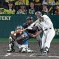 阪神・田中秀太コーチの行動に称賛の声集まる　ディベイニー初安打の記念球「人としての優しさを見た」「膨らんでます」