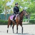【葵Ｓ】ショウナンカリスは力強く５２秒３をマーク　加藤士調教師「１２００メートルの方が思い切って乗れる」