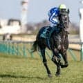【日本ダービー予想】AIは堅い決着を示唆!? 不安要素が見当たらない本命候補とは