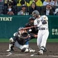 阪神・坂本　お得意左腕撃ち「打てる球を打とうと」出場４試合連続安打　対左投手なら打率・４５５　