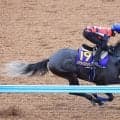 【日本ダービー】津村明秀騎手が「間違いなくいい状態」のリアライズシリウスと頂点目指す