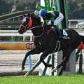 【目黒記念展望】4歳馬キングスコールが重賞初制覇を狙う