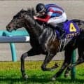 【日本ダービー】史上25頭目の二冠へ ロブチェン＆松山弘平騎手が不動の主役だ