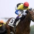 日本ダービーの種牡馬にまつわる記録 勝利数TOP3や親仔制覇の例は？