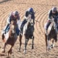 【日本ダービー】３頭併せでライヒスアドラー佐々木騎手「かなり順調」　グリーンエナジー上原佑調教師「いい状態」