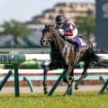 日本ダービー登録馬の香港馬名を紹介 「洛夫琴山」「名將忠犬」など全20頭
