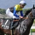 【目黒記念】名牝アパパネの7番仔 アマキヒがきょうだい2頭目の重賞勝ちなるか