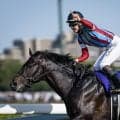 【競馬予想】日本ダービーの行方を占う「３歳牡馬ランキング」　ロブチェンを脅かす存在はいるか