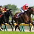 【武豊日記】37回目の挑戦