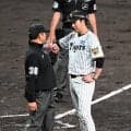 【阪神】再三好守に阻まれ残塁11　藤川監督「チームがいい時はヒュッと抜ける。我慢も必要」