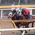 【宝塚記念・２週前】武豊騎手で連覇狙うメイショウタバルはＣＷで首差先着　石橋調教師「うまくいったかな」