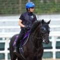 【宝塚記念】史上初の春古馬３冠にリーチをかけるクロワデュノールが歴代最多得票の３６万６０３９票で１位　ファン投票最終結果