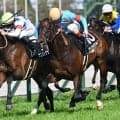 【目黒記念出走馬・騎手確定】ウィクトルウェルス＆C.ルメール騎手、ダノンシーマ＆川田将雅騎手など14頭