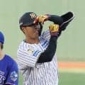 【阪神】岡城快生が登録抹消　20日から出場機会なく　代わってプロ初先発予定の木下里都が登録