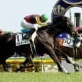 【初めてのダービー３】２０１２年勝者敗者が涙 特別なレース...ディープブリランテ世代の西山智昭記者～スポーツ紙・夕刊紙８紙特別企画～