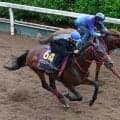 【安田記念・１週前】ドラゴンブーストはしっかり負荷で５１秒３の好時計　藤野調教師「しっかりと一杯にやりました」