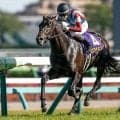 【日本ダービー・調教後馬体重】ロブチェンは530kg、リアライズシリウスは532kg