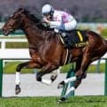 【日本ダービー】名門・下河辺牧場が悲願の初制覇なるか 若葉S覇者のマテンロウゲイルが挑む