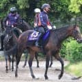 【Ｇ１トク捜リレー】日本ダービーのカギは「上昇度」　水納愛美記者は皐月賞とは出来が違うパントルナイーフに注目