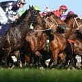【日本ダービー／全頭診断】皐月賞馬ロブチェンに“馬券内率83％”　「最高の枠」ゲットの穴馬も虎視眈々