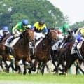 皐月賞と同じ5頭で掲示板独占 2016年日本ダービー