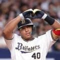 ヤクルト　元オリックス、西武のセデーニョ内野手の獲得を発表　来日時期は未定　「一員になれたことを、心から嬉しく、光栄に思う」