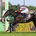【競馬予想】日本ダービーの本命・ロブチェンの信頼度を血統で分析