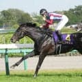 【日本ダービー】皐月賞馬・ロブチェンは530kg…出走馬の調教後の馬体重