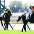 【東京２Ｒ・３歳未勝利】日本ダービーと同じ舞台で２分２４秒６　母はローズＳ勝ち馬の良血ゴンファロニエーレが初勝利
