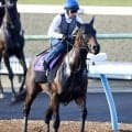【日本ダービー・土曜気配】木村調教師「残りの時間を無事に…」パントルナイーフは闘志秘め登坂　皐月賞１４着から反撃へ
